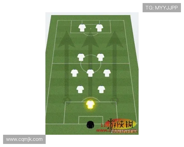 成都攀岩队区域防守体系的战术分析与实战应用探讨